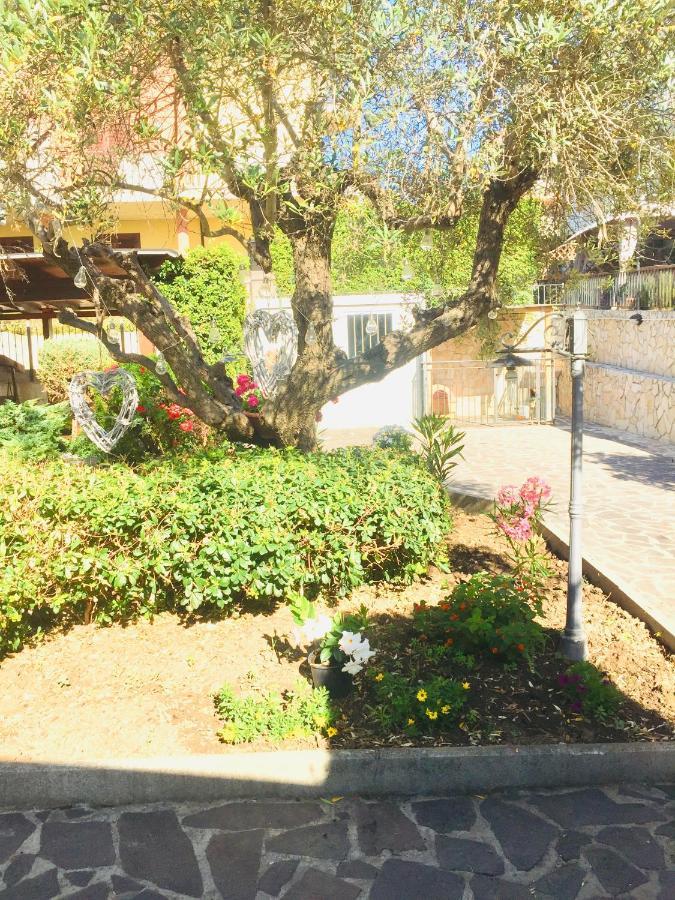 Bed & Breakfast Il Piu *